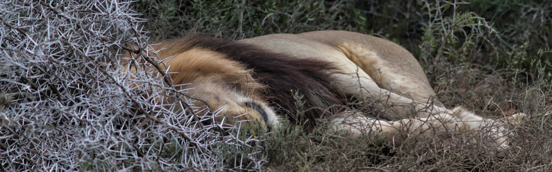 slide-05.jpg slide-05.jpg