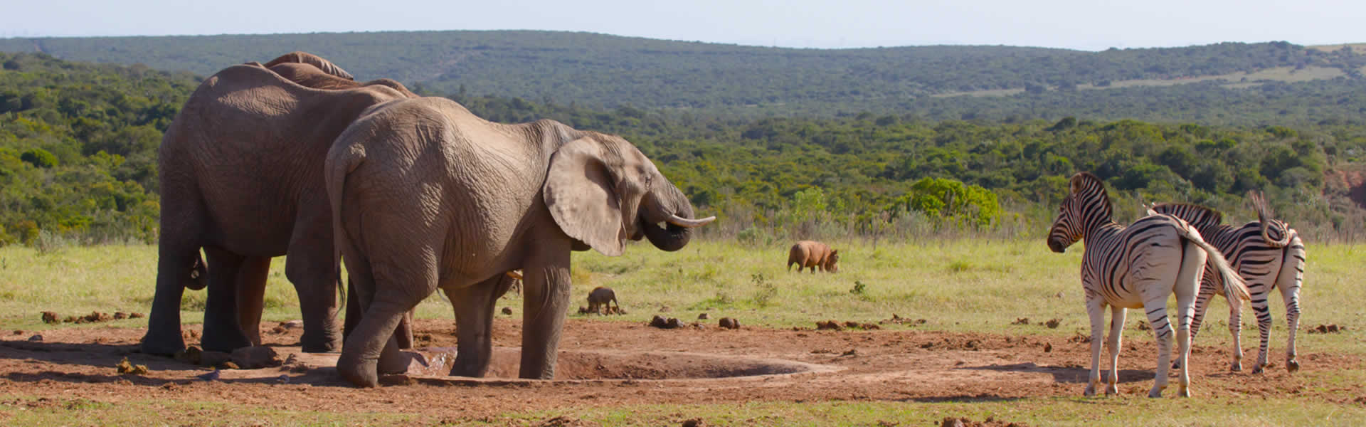 slide-06.jpg slide-06.jpg