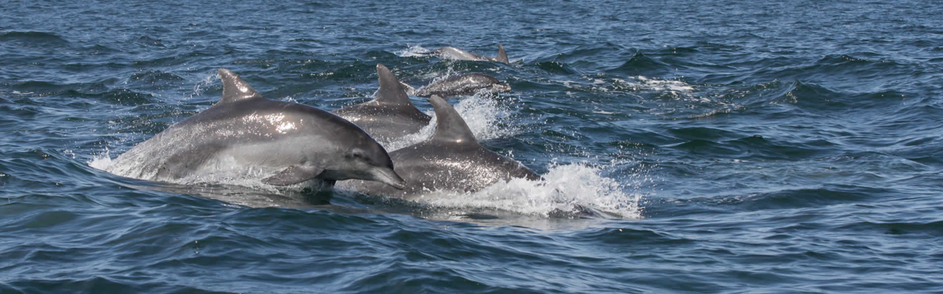 slide-07.jpg slide-07.jpg